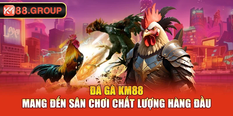 Đá gà KM88 mang đến sân chơi chất lượng hàng đầu